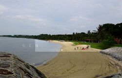 Pasir Ris Beach Park (D18), Semi-Detached #505955161